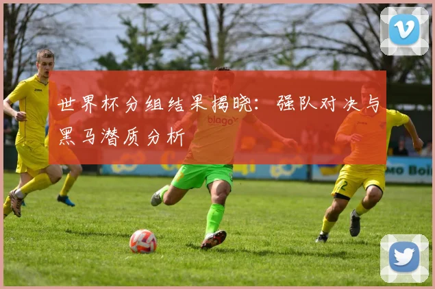 世界杯分组结果揭晓：强队对决与黑马潜质分析