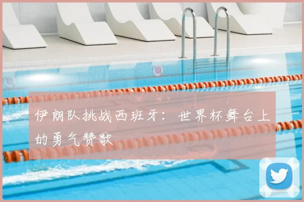 伊朗队挑战西班牙：世界杯舞台上的勇气赞歌