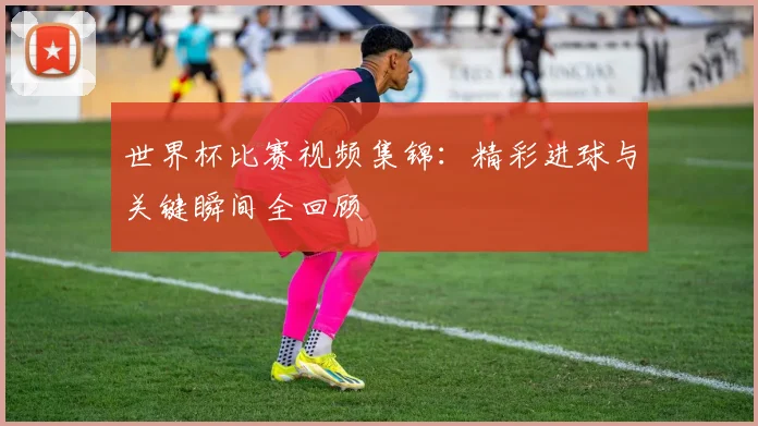世界杯比赛视频集锦：精彩进球与关键瞬间全回顾