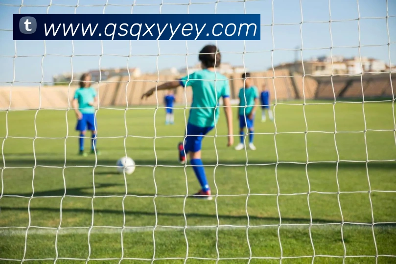 世界杯8强名单揭晓：哪些球队成功晋级？